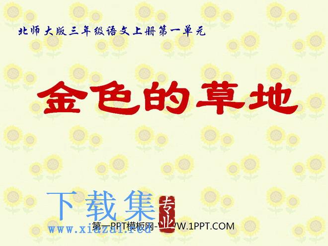《金色的草地》PPT课件2