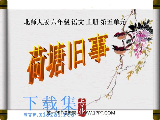 《荷塘旧事》PPT课件3