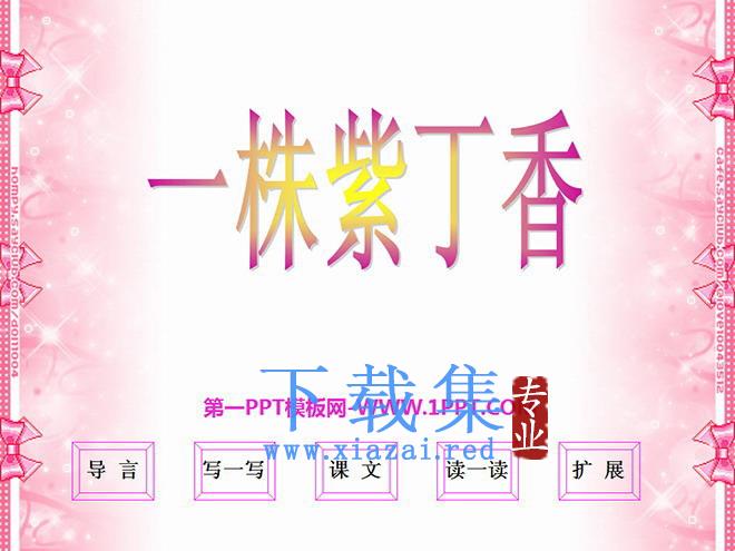 《一株紫丁香》PPT课件