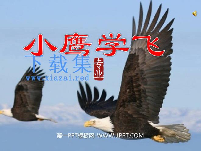 《小鹰学飞》PPT课件