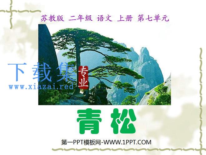 《青松》PPT课件