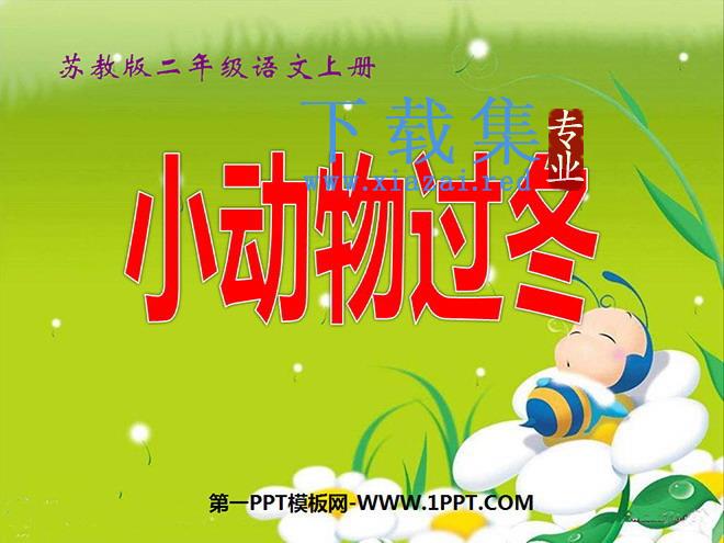 《小动物过冬》PPT课件2