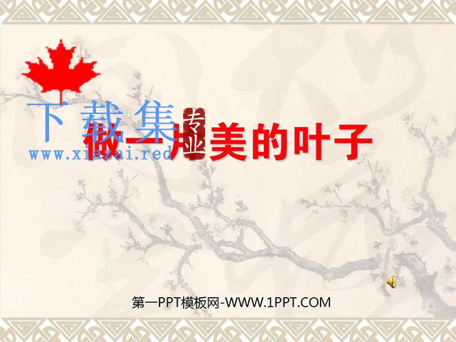 《做一片美的叶子》PPT课件