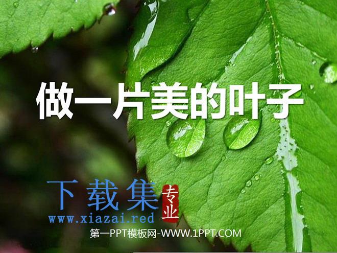 《做一片美的叶子》PPT课件2
