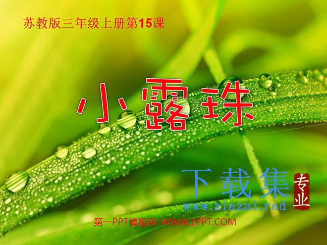 《小露珠》PPT课件2