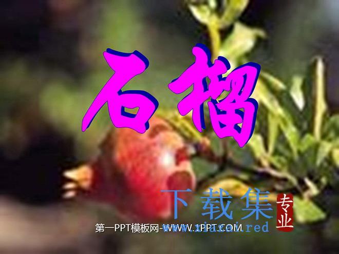 《石榴》PPT课件2