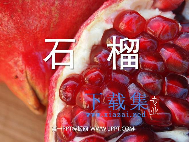 《石榴》PPT课件3