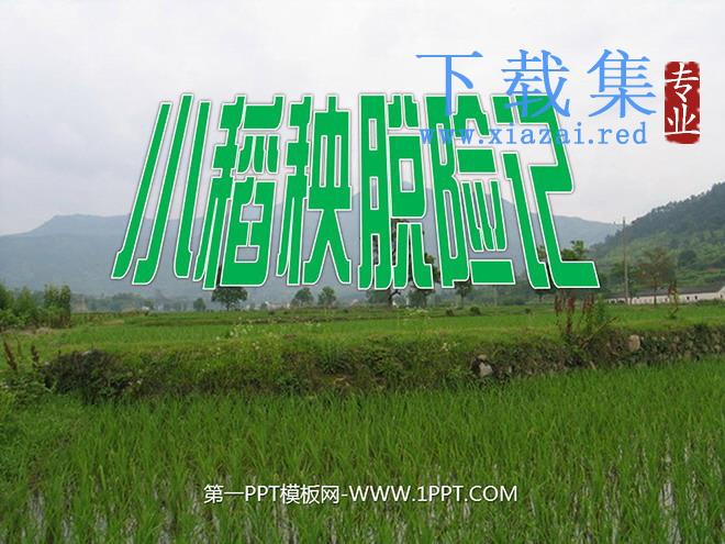 《小稻秧脱险记》PPT课件