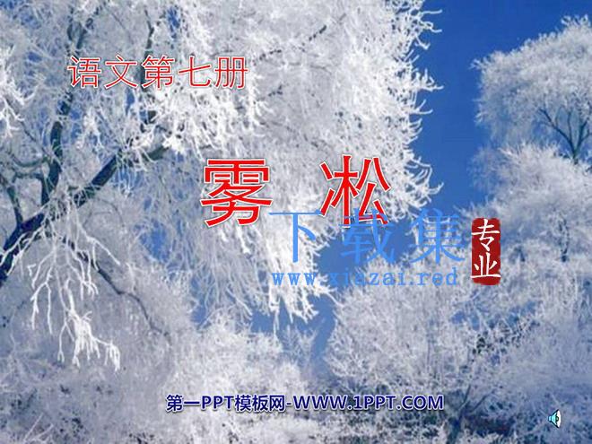 《雾凇》PPT课件