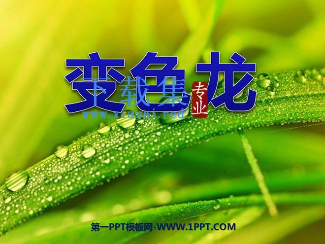 《变色龙》PPT课件2