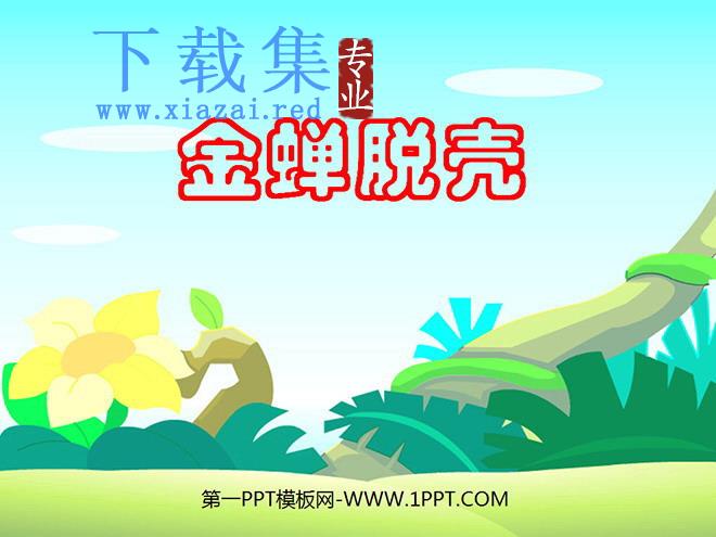 《金蝉脱壳》PPT课件2