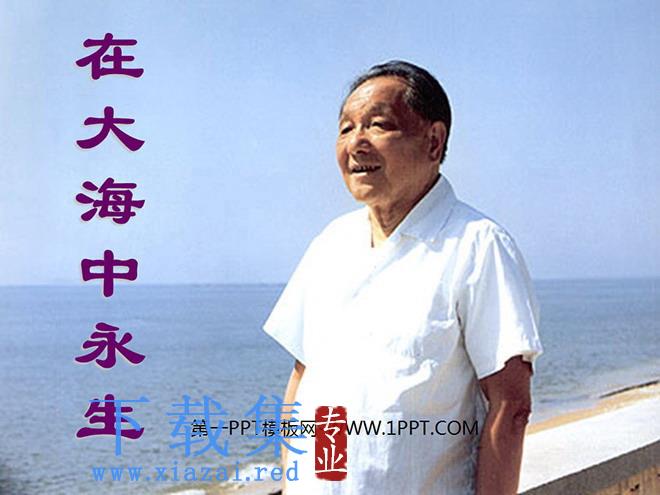 《在大海中永生》PPT课件