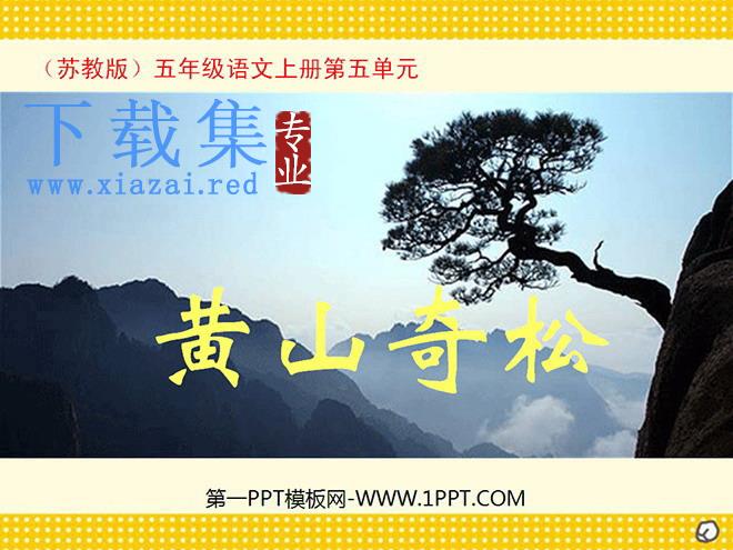 《黄山奇松》PPT课件