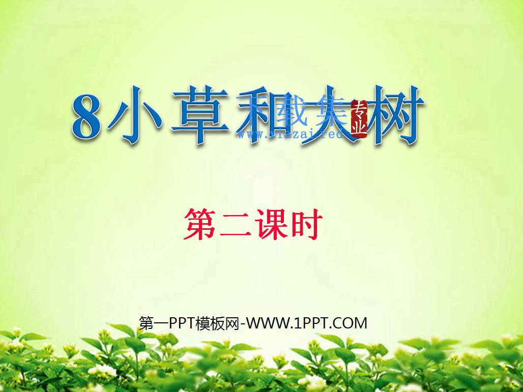 《小草和大树》PPT课件2