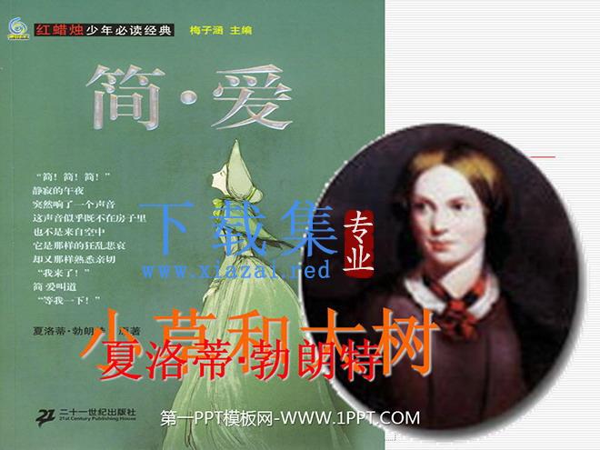 《小草和大树》PPT课件3