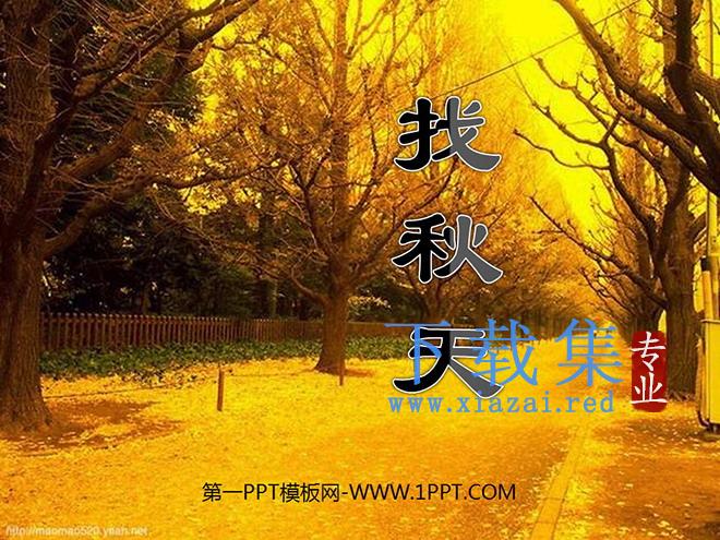 《找秋天》PPT课件