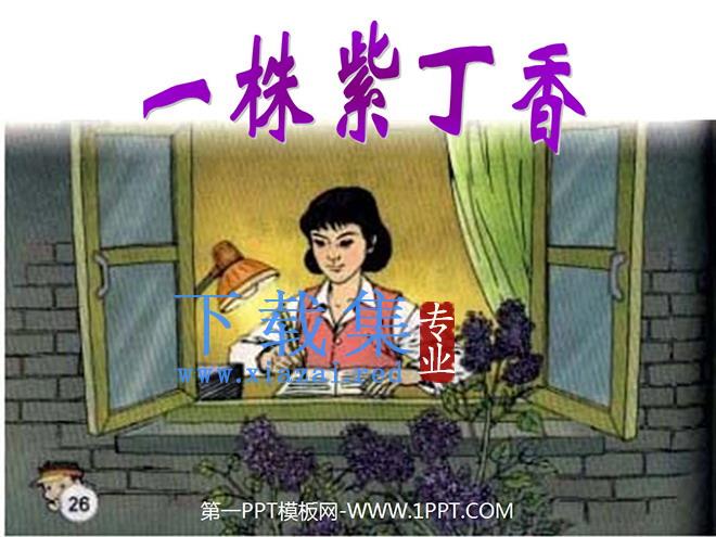 《一株紫丁香》PPT教学课件下载3