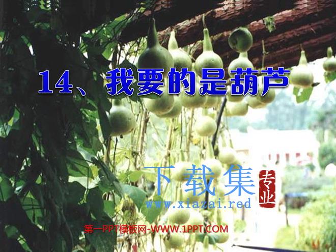 《我要的是葫芦》PPT教学课件下载4