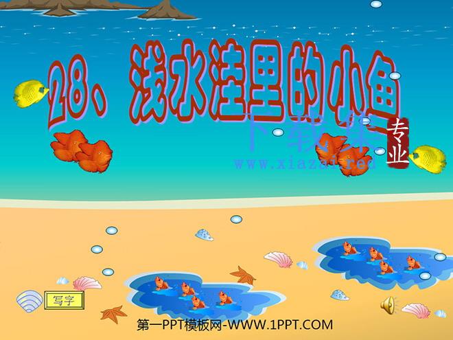 《浅水洼里的小鱼》PPT教学课件下载4