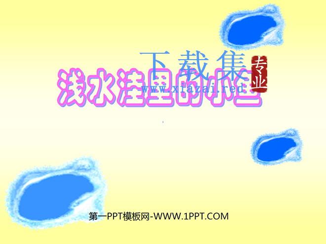 《浅水洼里的小鱼》PPT教学课件下载5