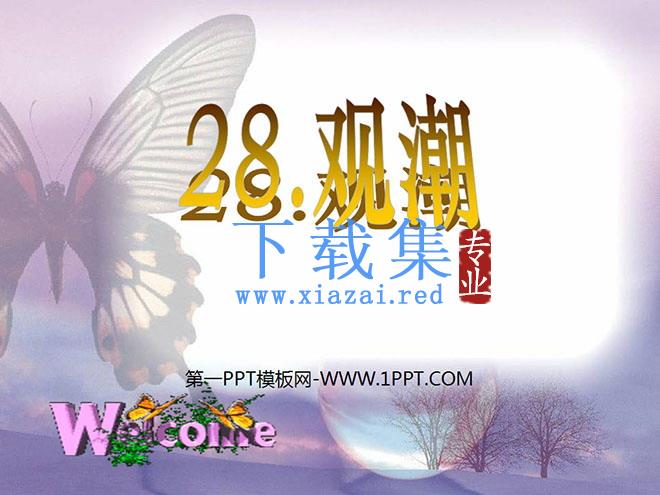 《观潮》PPT课件4