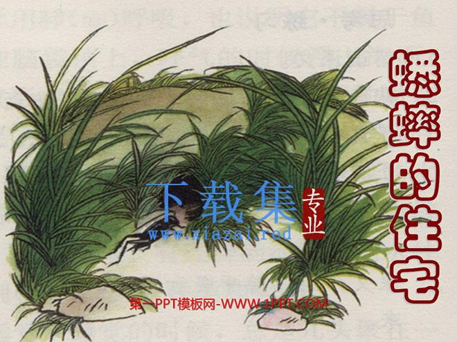 《蟋蟀的住宅》ppt教学课件下载5
