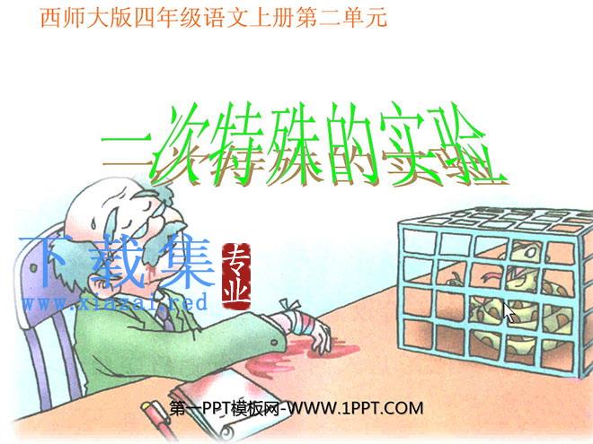 《一次特殊的实验》PPT课件2