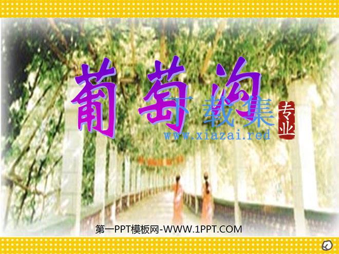 《葡萄沟》PPT课件6