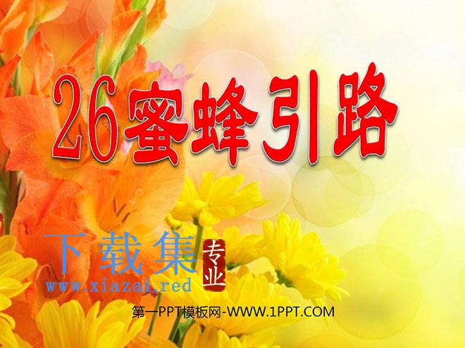 《蜜蜂引路》PPT课件4