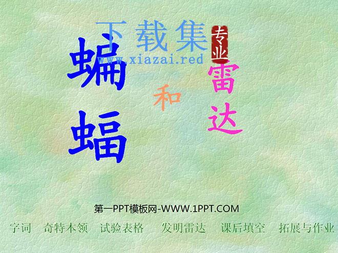 《蝙蝠和雷达》PPT课件2