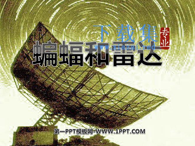 《蝙蝠和雷达》PPT课件4