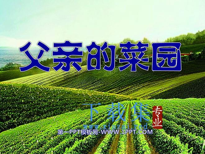 《父亲的菜园》PPT课件5