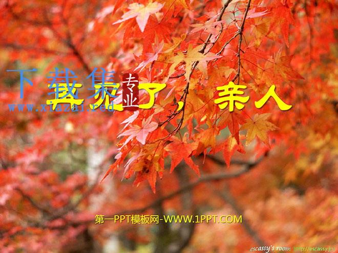 《再见了，亲人》PPT课件5