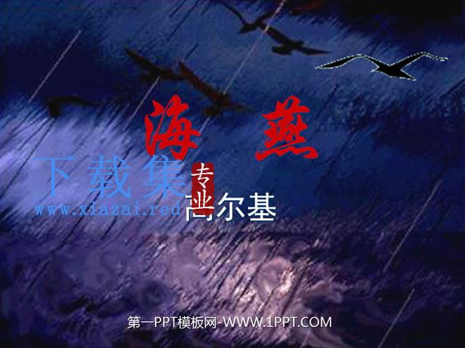 《海燕》PPT课件4