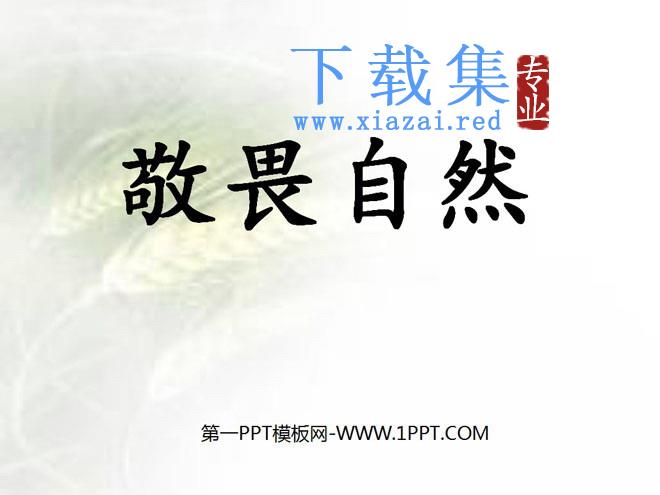 《敬畏自然》PPT课件5