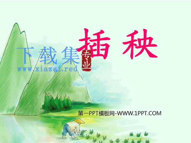 《插秧》PPT课件3