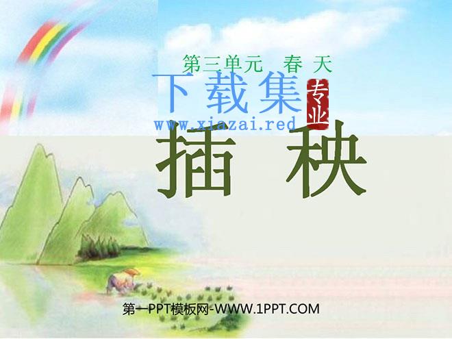 《插秧》PPT课件4