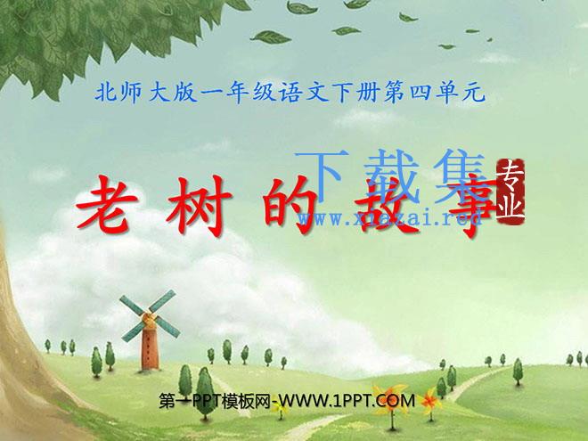 《老树的故事》PPT课件2