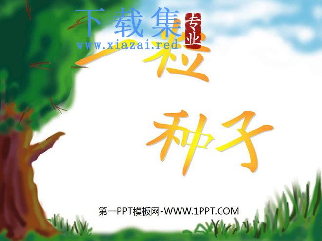 《一粒种子》PPT课件2
