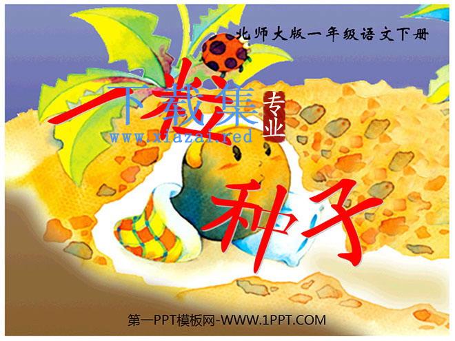 《一粒种子》PPT课件3