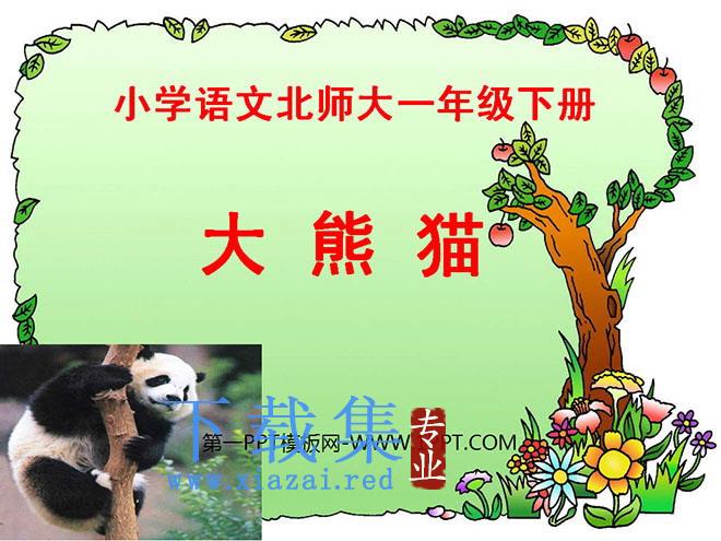 《大熊猫》PPT课件2