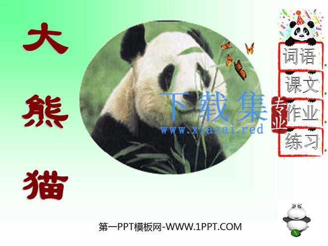 《大熊猫》PPT课件3