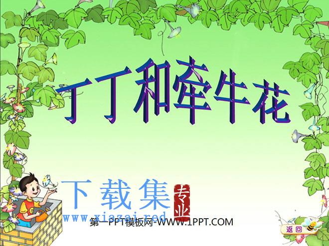 《丁丁和牵牛花》PPT课件