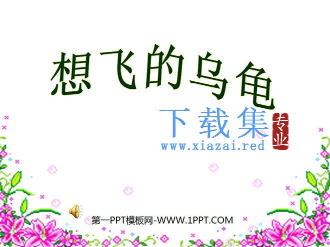 《想飞的乌龟》PPT课件2