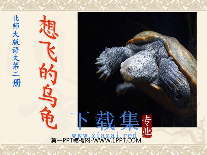 《想飞的乌龟》PPT课件3
