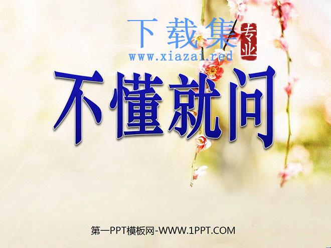 《不懂就问》PPT课件