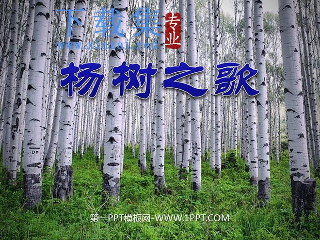 《杨树之歌》PPT课件
