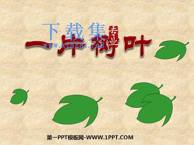 《一片树叶》PPT课件