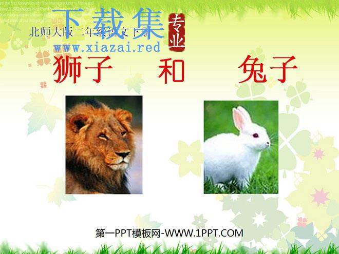 《狮子和兔子》PPT课件2