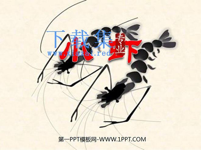 《小虾》PPT课件2